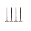 Durable Intake Valves for Industrial