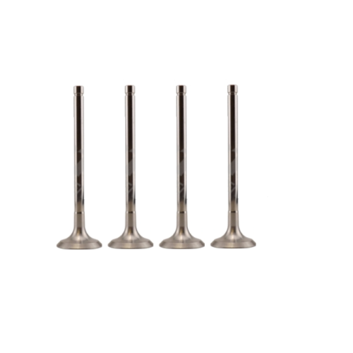Durable Intake Valves for Industrial