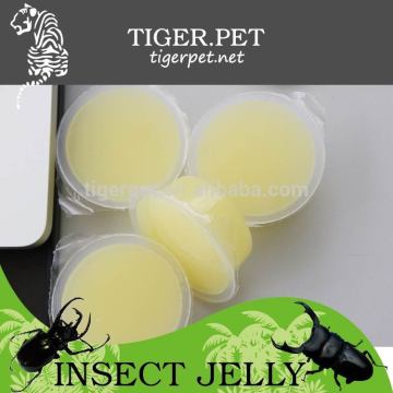 2015 new products assorted pudding cup jelly