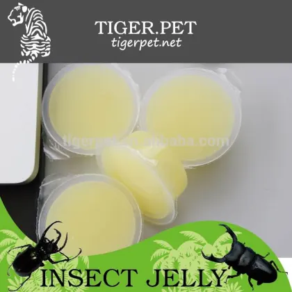OEM and ODM wholesale pineapple flavor pudding jelly
