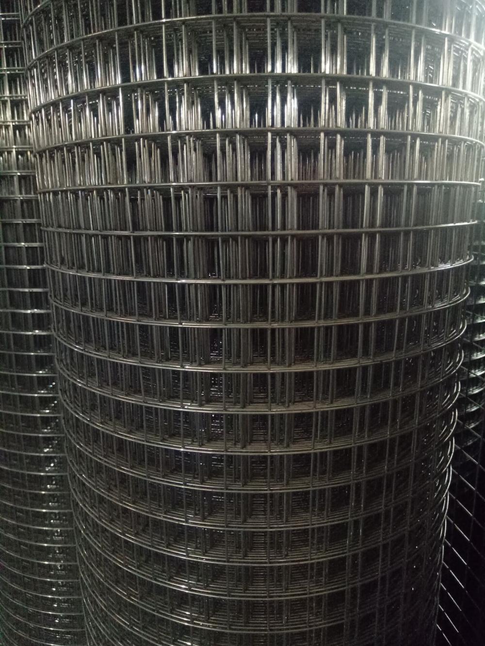 Stainless Steel Welded Wire Mesh Rolls