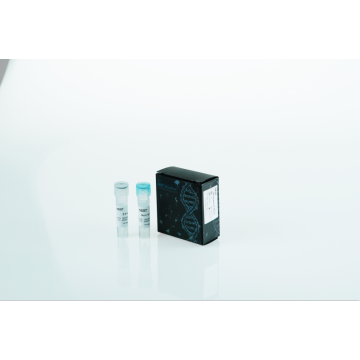 Schnelles Multiplex -PCR -Kit