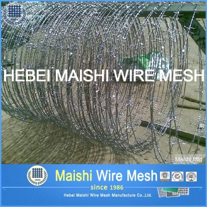 Security fence/Galvanized barbed wire/Barbed wire