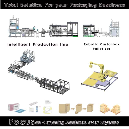 Shanghai Wan Shen Supplier Carton Box Automatic Palletizer with Robot Arm Packaging Machinery
