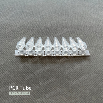 PCR de plástico desechable tiras de 8 tubos Tubos de PCR