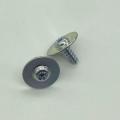 Torx pan head tapping screws with washer ST2.9*8