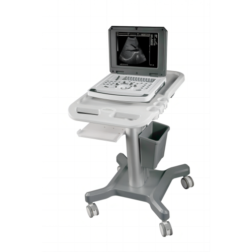 Notebook Black and White Ultrasound Scanner for Gynecology