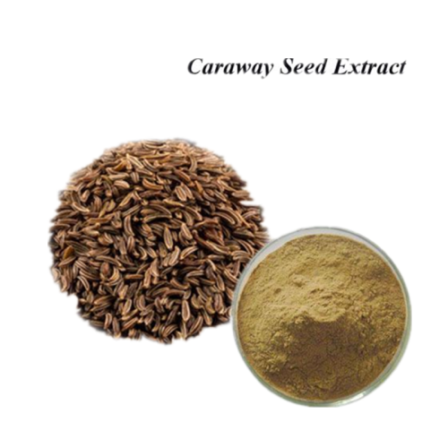 Natural Caraway Seed Extract