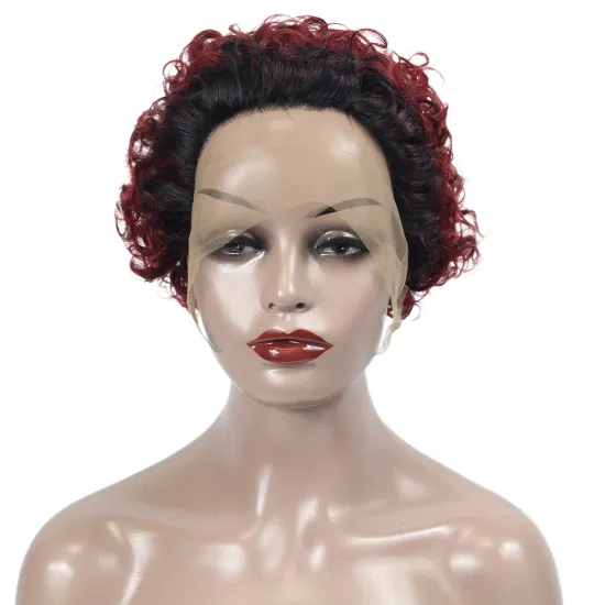 cheap short pixie cut lace wig, wholesale short curly lace front wig,short lace front wigs for black women