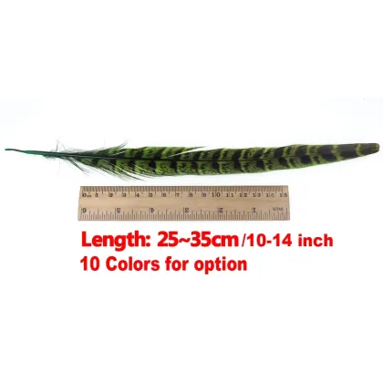 Natural Ring Neck Hen Pheasant Tail Feathers for Fly Tying Nymphs and Wet Fly Wings