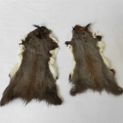 squirrel hides tanned squirrel skin grey squirrel fur pelt