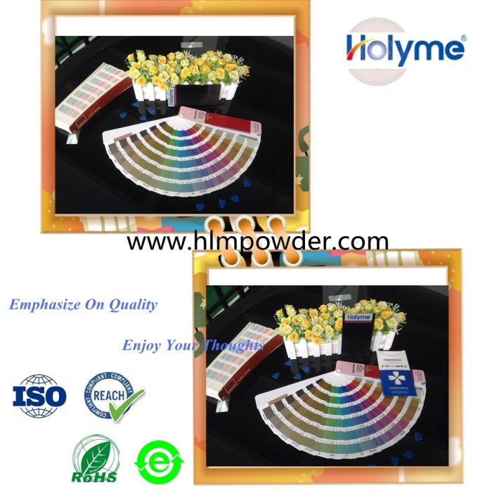 Lớp phủ bột polyester màu Ral với chứng nhận ROHS