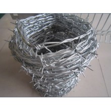 25kg electro galvanized barb wire per roll