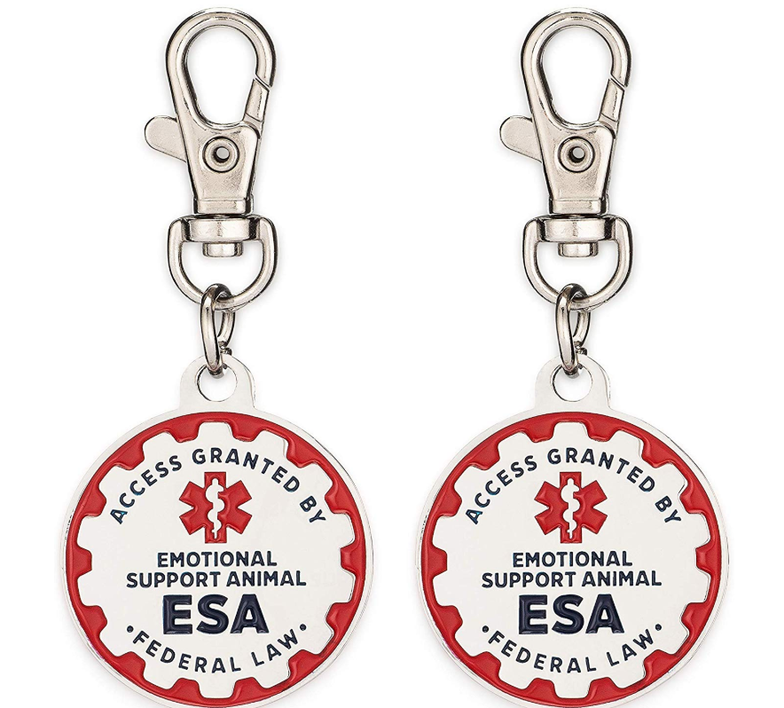 2 Pet Dog ID Metal Tags