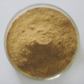 Epimedium Leaf Extract Icariin 10% Poeder Sex Improve