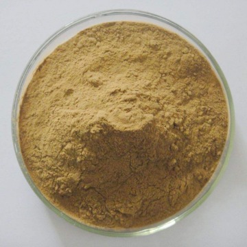 Epimedium Leaf Extract Icariin 10% Powder Sex Improve