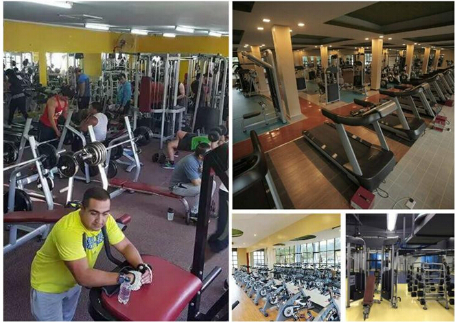 Gym Fitness Dip/Chin Assit