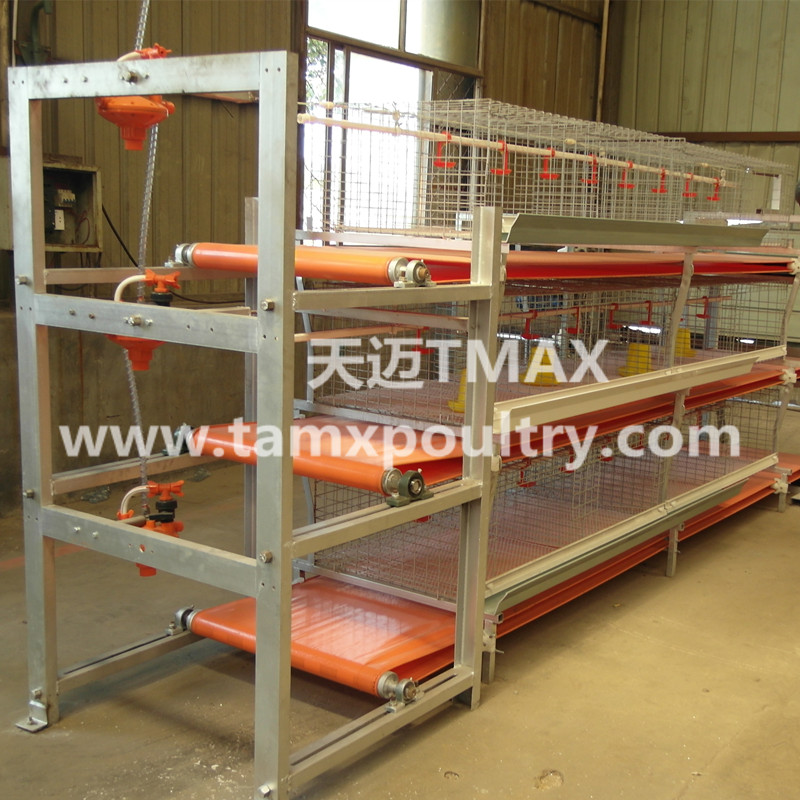 Broiler Manure Removal