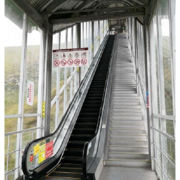 Energy Saving Smooth and Reliable Escalator