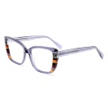Transparent Acetate Modern Eyeglasses