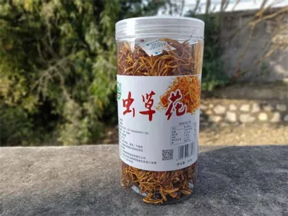 Canned Cordyceps flower