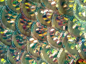 Mesh bead embroidery blink