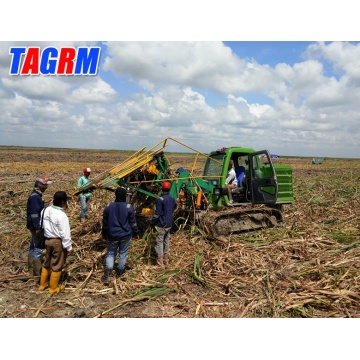 Cosechadora de caña de azúcar de tallo entero de máquina duradera de buena calidad