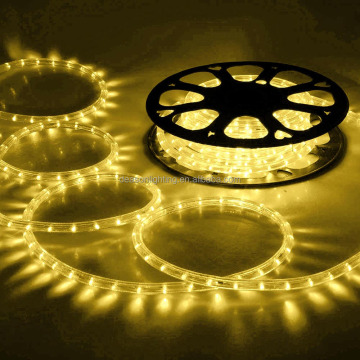 Christmas Rope Light LED 328'/100m Xmas Decorative Party Indoor/Outdoor 110V/220V Warm White