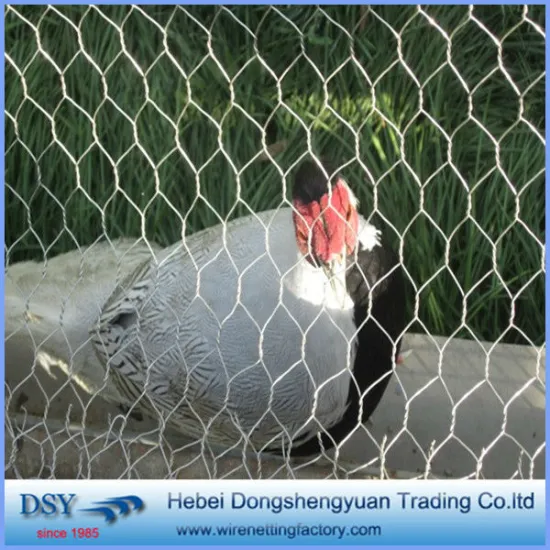 wholesale chicken wire mesh/chicken wire netting/hexagonal wire mesh