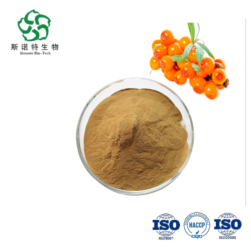 Sea Buckthorn Extract Sea Buckthorn Polysaccharide for Improving Digestive Health Factory