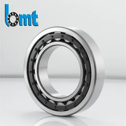 Nu205 E Cylindrical Roller Bearings
