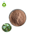 Natural Mao Dong Qing Pubescent Holly Root Extract