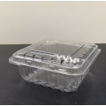 Disposable Clamshell Box Packaging