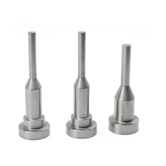 Mold Punch Die Supply