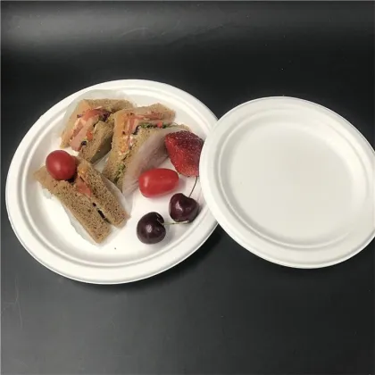 Biodegradable Dinner Plate Sugarcane Bagasse Paper Plates