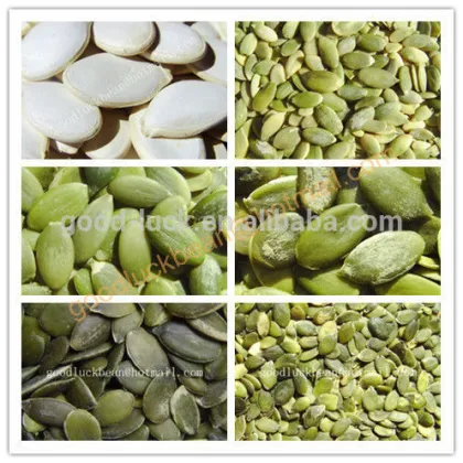 Grade A,AA Snow White Pumpkin Seeds Kernels                        
                                                Quality Choice