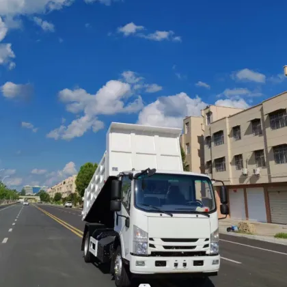 Foton New Energy dump truck