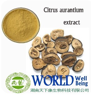 Citrus Aurantium Extract 6%~98%Synephrine Bitter Orange Extract 