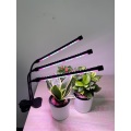 /msite/products/detail/productid/63248892/id/1516230.html