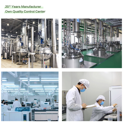 Užšaldykite džiovintus obuolių miltelius