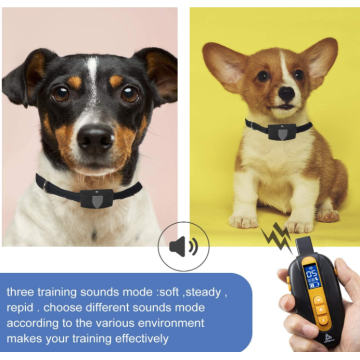 Dog Training Collar with 3 Training Modes