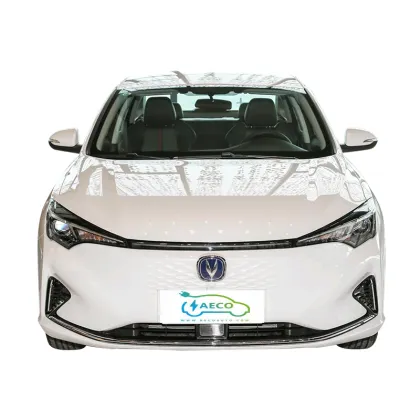 2024 E Star Yidong EV: Brand New Electric Car