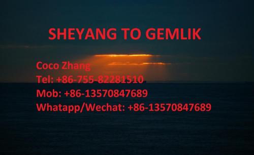 Carga marítima de Jiangsu Sheyang a Turquía Gemlik