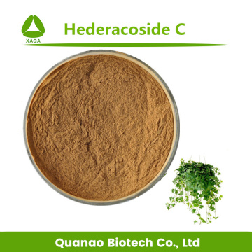 Ivy Leaf Extract Hederacoside C 10% Powder