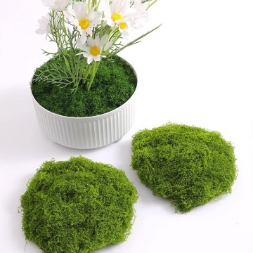 Grass de pelouse en mousse artificielle pour le paysage et la décoration de bonsaï