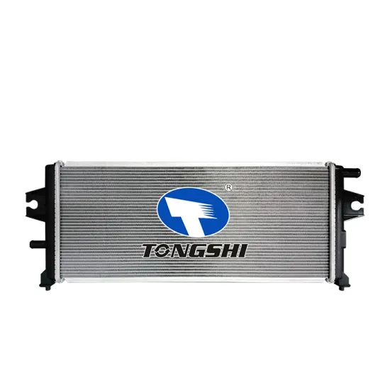 Cooling Water Radiator For Honda RS1 RS2 Hybrid 2023