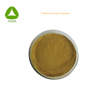 Organic Vegan Tribulus Terrestris Extract Saponin Powder