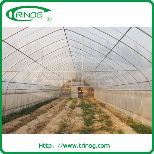 Windstand strawberry greenhouse for agricultural