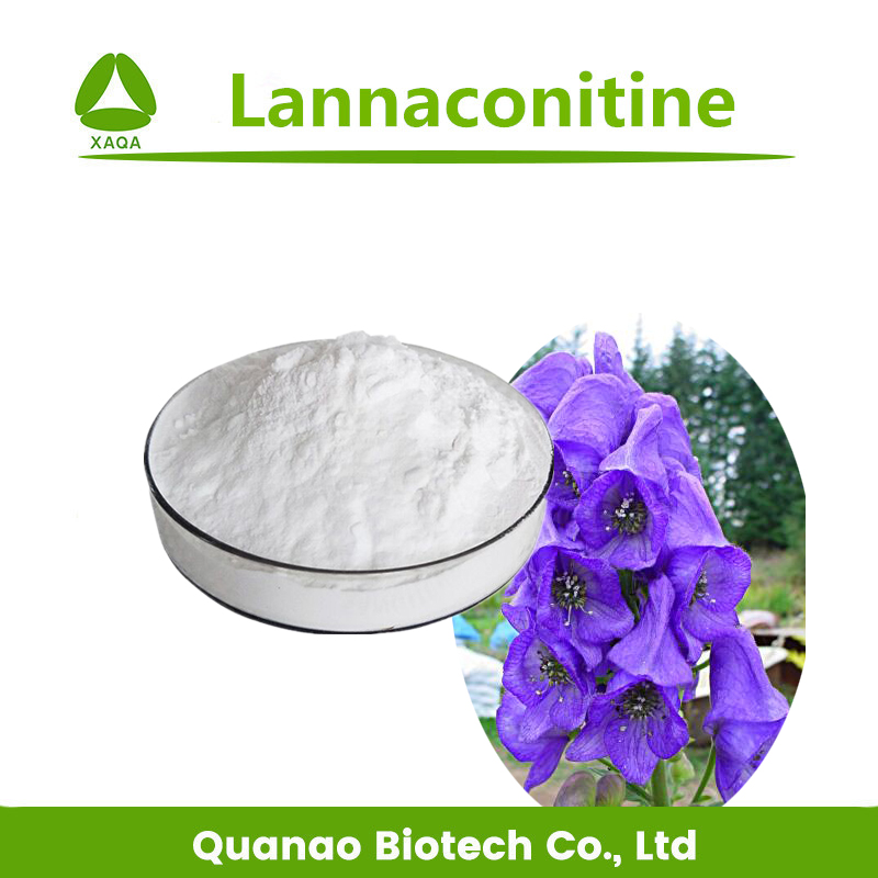 Aconitum Sinomontanum Extract Lannaconitine 98%Powder