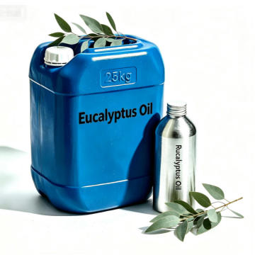 Produttore di olio essenziale di eucalipto per aromaterapia biologica